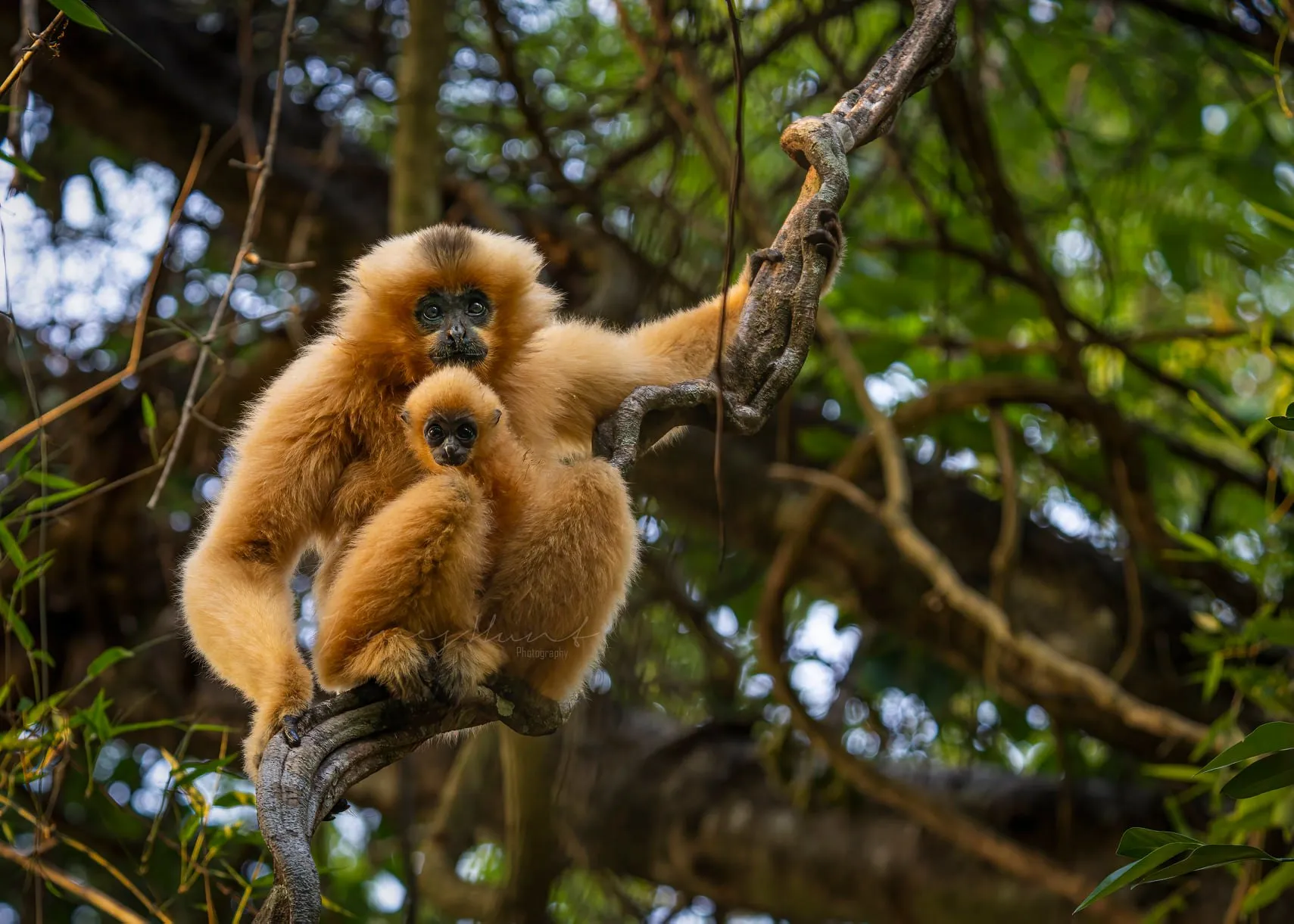 Hiking Cat Tien National Park 3 Days Itinerary